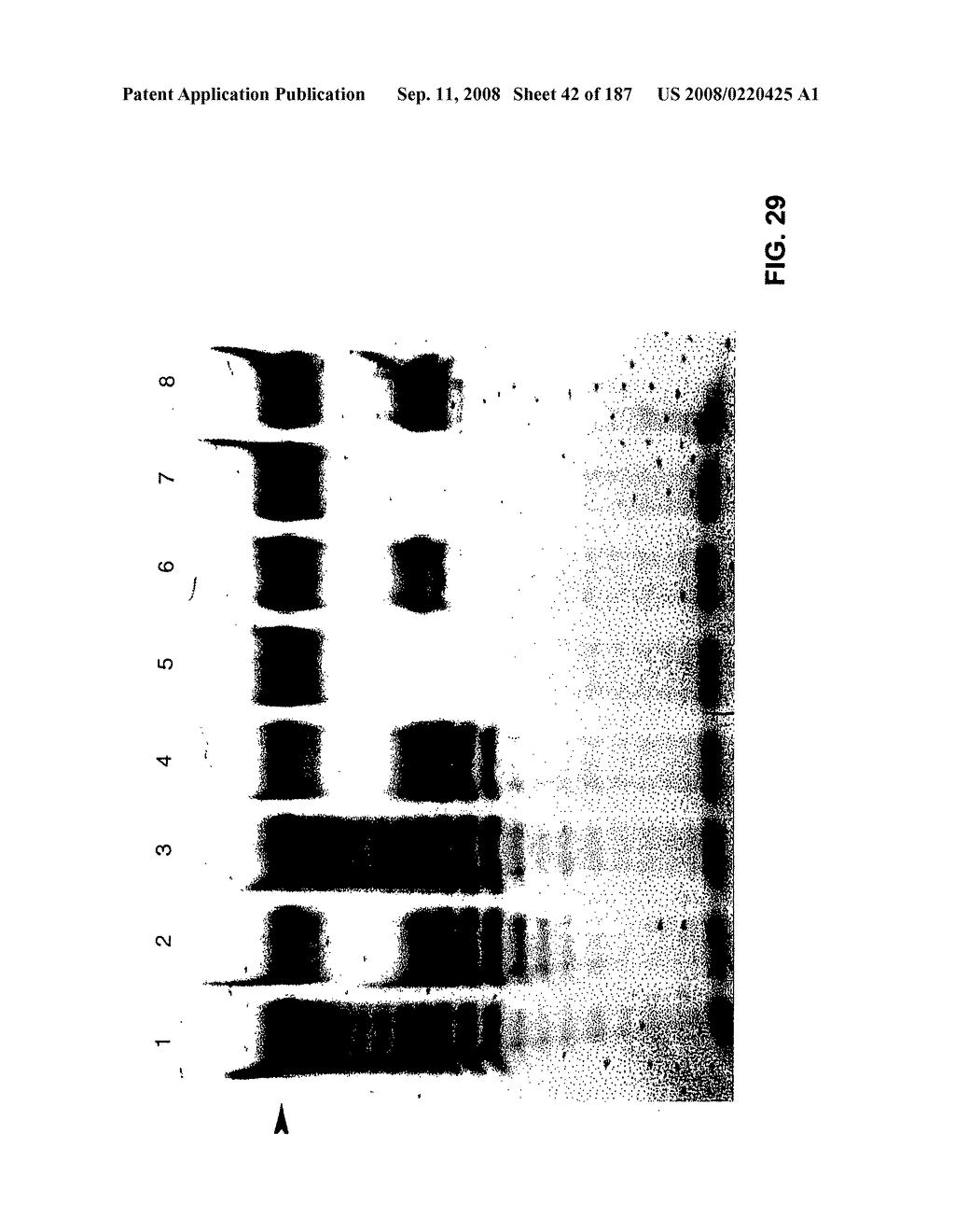 Methods and Compositions for Detecting Target Sequences - diagram, schematic, and image 43