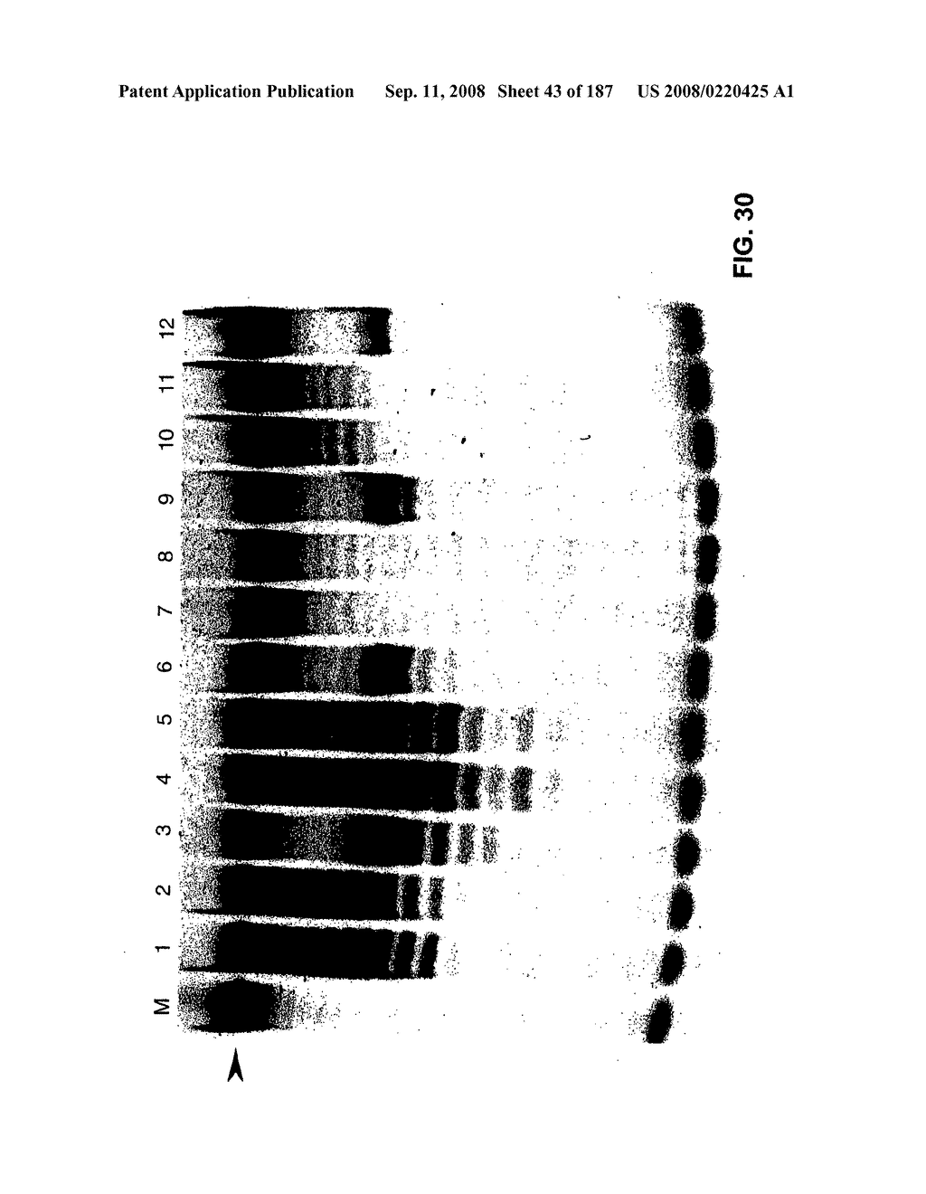 Methods and Compositions for Detecting Target Sequences - diagram, schematic, and image 44