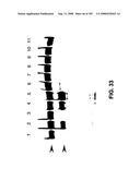 Methods and Compositions for Detecting Target Sequences diagram and image