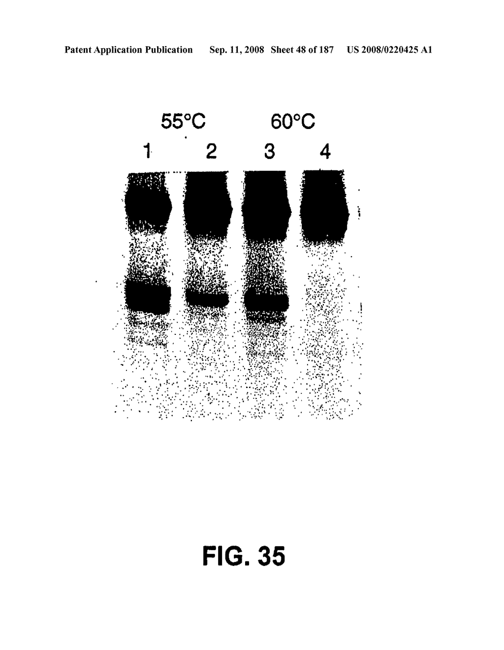 Methods and Compositions for Detecting Target Sequences - diagram, schematic, and image 49