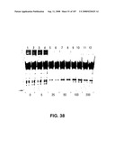 Methods and Compositions for Detecting Target Sequences diagram and image