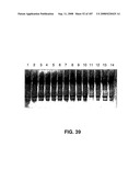 Methods and Compositions for Detecting Target Sequences diagram and image