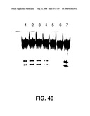 Methods and Compositions for Detecting Target Sequences diagram and image