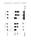 Methods and Compositions for Detecting Target Sequences diagram and image