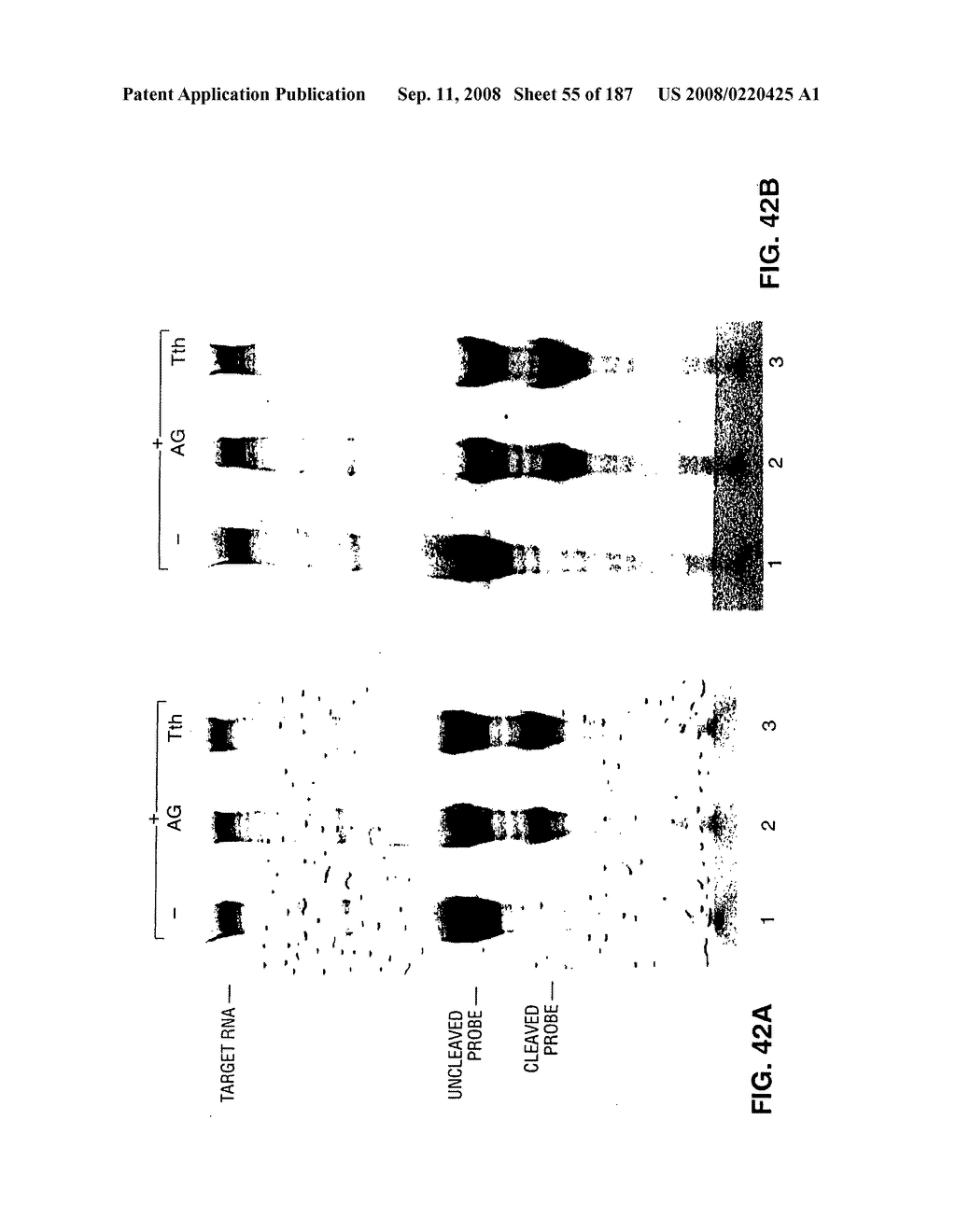 Methods and Compositions for Detecting Target Sequences - diagram, schematic, and image 56