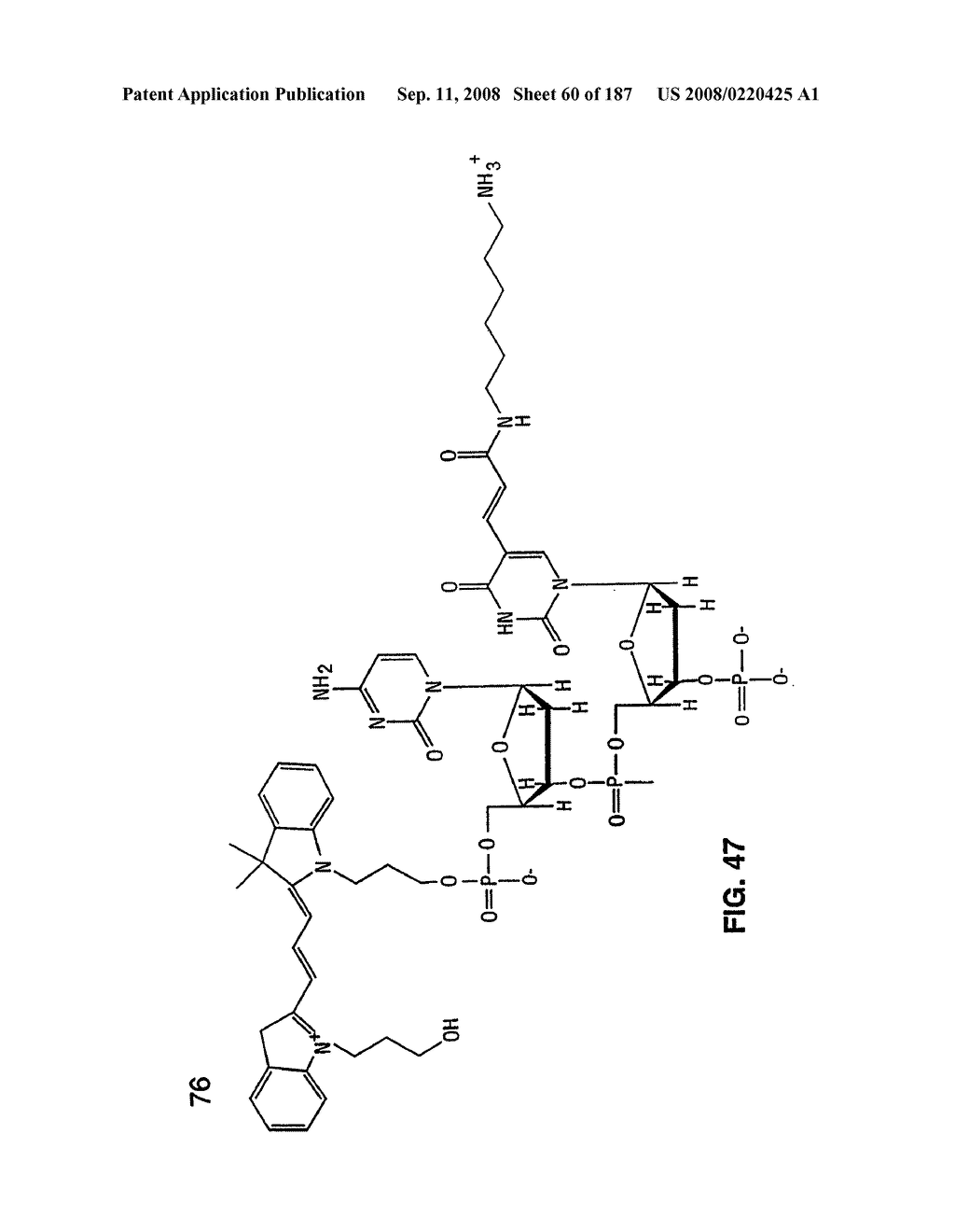 Methods and Compositions for Detecting Target Sequences - diagram, schematic, and image 61