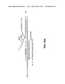 Methods and Compositions for Detecting Target Sequences diagram and image