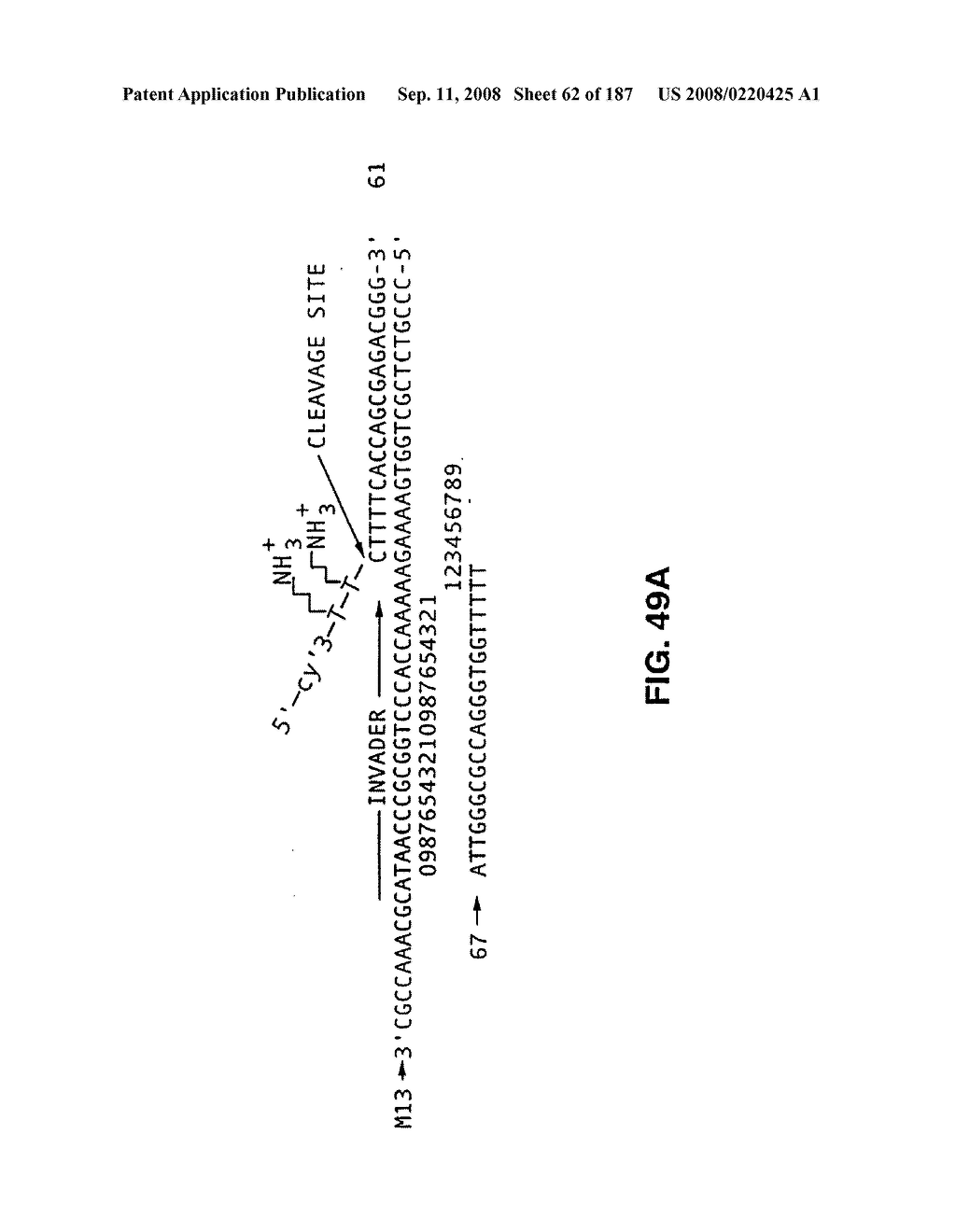 Methods and Compositions for Detecting Target Sequences - diagram, schematic, and image 63