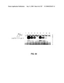 Methods and Compositions for Detecting Target Sequences diagram and image