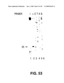 Methods and Compositions for Detecting Target Sequences diagram and image