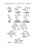 Methods and Compositions for Detecting Target Sequences diagram and image