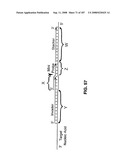 Methods and Compositions for Detecting Target Sequences diagram and image