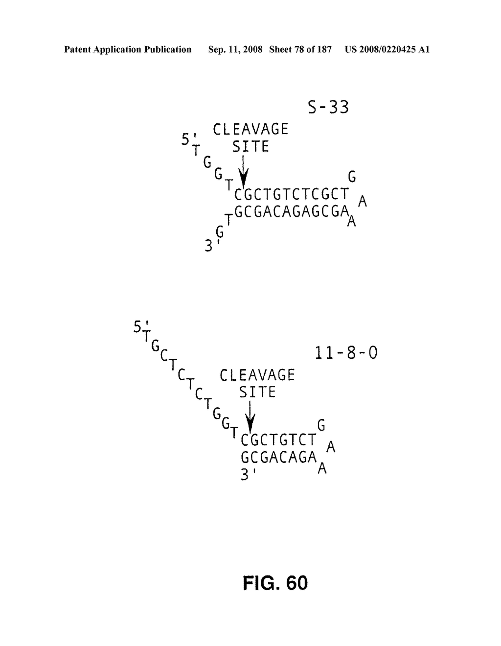 Methods and Compositions for Detecting Target Sequences - diagram, schematic, and image 79