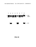 Methods and Compositions for Detecting Target Sequences diagram and image