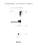 Methods and Compositions for Detecting Target Sequences diagram and image