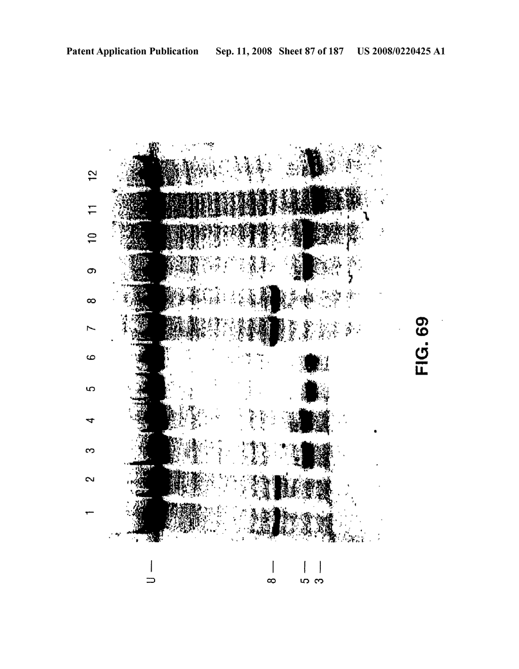 Methods and Compositions for Detecting Target Sequences - diagram, schematic, and image 88