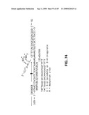 Methods and Compositions for Detecting Target Sequences diagram and image