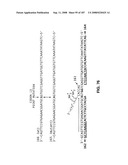 Methods and Compositions for Detecting Target Sequences diagram and image