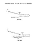 Methods and Compositions for Detecting Target Sequences diagram and image