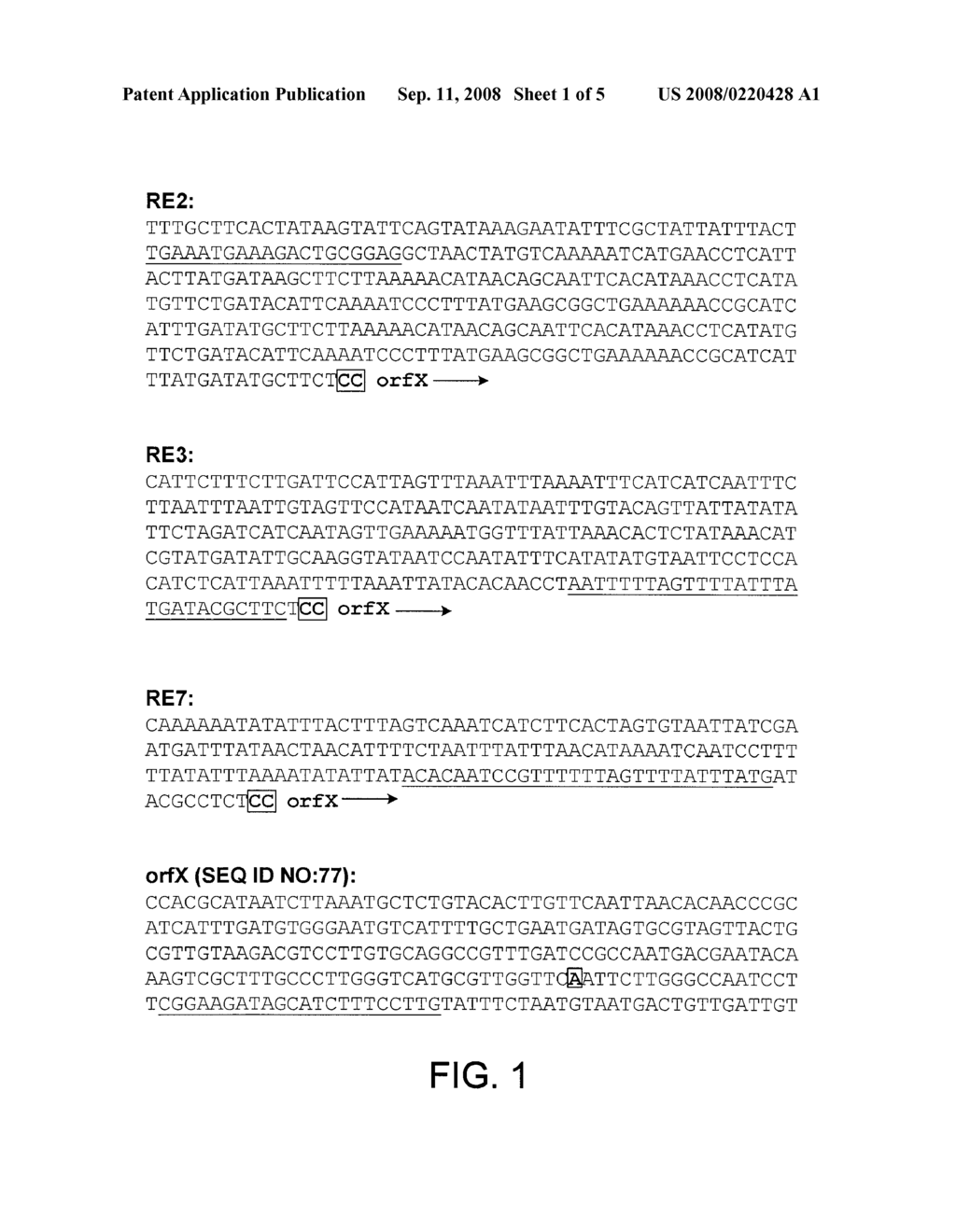 COMPOSITIONS AND METHODS FOR DETECTING METHICILLIN-RESISTANT S. AUREUS - diagram, schematic, and image 02