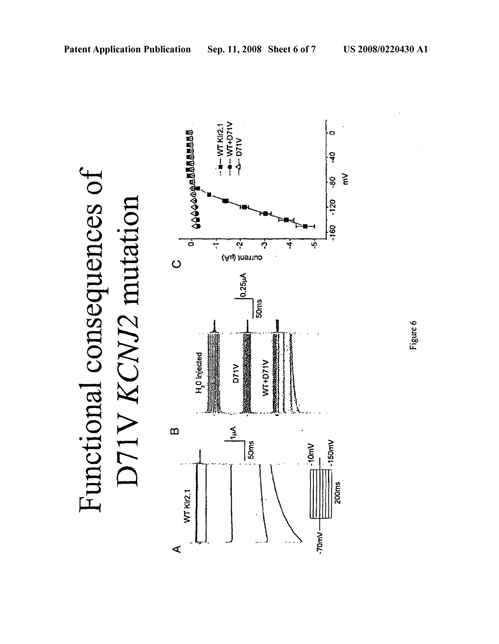 Methods for assessing risk for cardiac dysrythmia in a human subject - diagram, schematic, and image 07