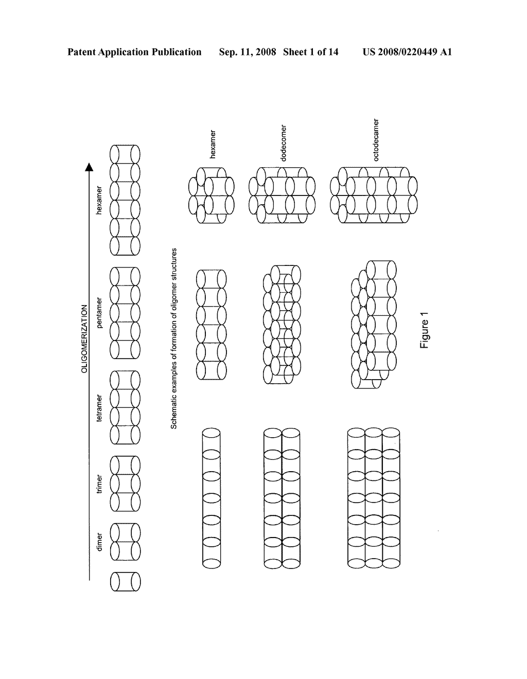 Biomarkers and assays for Alzheimer's disease - diagram, schematic, and image 02