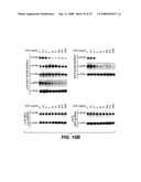 Vectors and Methods Using Same diagram and image