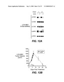 Vectors and Methods Using Same diagram and image