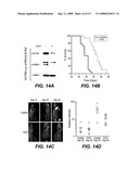 Vectors and Methods Using Same diagram and image