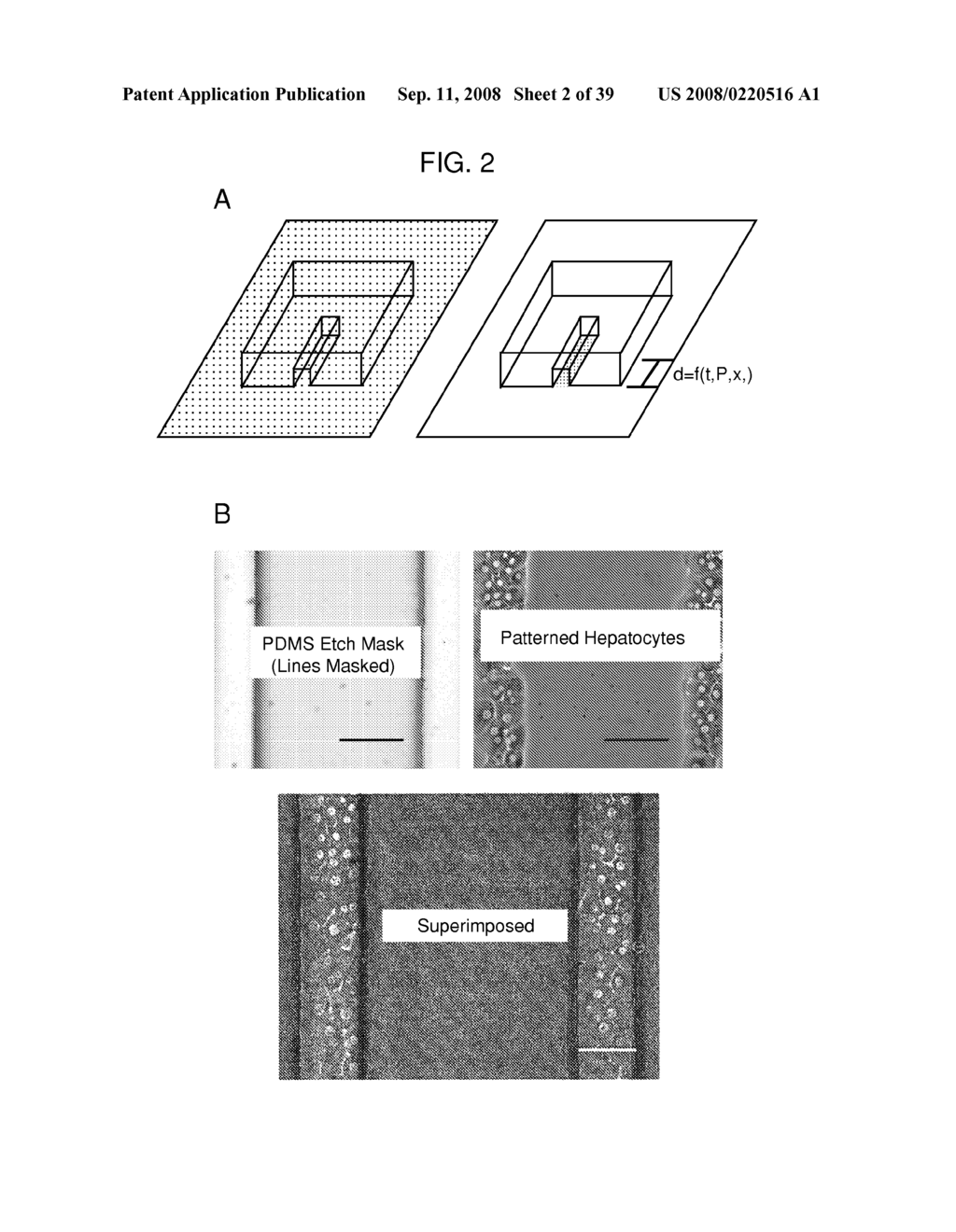 Multi-well micropatterning by ablation - diagram, schematic, and image 03