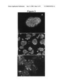 Gum coatings for cell culture, methods of manufacture and methods of use diagram and image