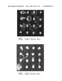 Biochip and Manufacturing Method Thereof diagram and image