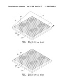 Biochip and Manufacturing Method Thereof diagram and image