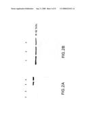 Activatable Clostridial Toxins diagram and image