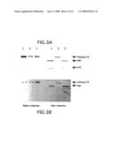 Activatable Clostridial Toxins diagram and image