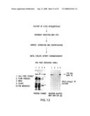 Activatable Clostridial Toxins diagram and image