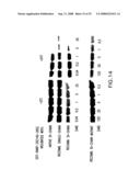 Activatable Clostridial Toxins diagram and image