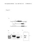 Neurobiological compositions diagram and image