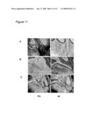 Neurobiological compositions diagram and image