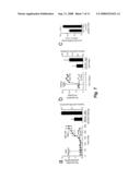 Prouroguanylin, and Synthetic Analogs or Proteolytic Cleavage Products Derived from It, as Therepeutic and Diagnostic Agents for Diseases Involving Salt and/or Fluid Homeostasis diagram and image