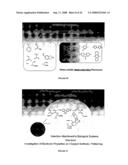 DENDRITIC MOLECULAR INTRACELLULAR TRANSPORTERS AND METHODS OF MAKING AND USING SAME diagram and image