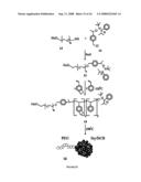 DENDRITIC MOLECULAR INTRACELLULAR TRANSPORTERS AND METHODS OF MAKING AND USING SAME diagram and image