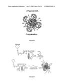 DENDRITIC MOLECULAR INTRACELLULAR TRANSPORTERS AND METHODS OF MAKING AND USING SAME diagram and image