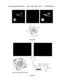 DENDRITIC MOLECULAR INTRACELLULAR TRANSPORTERS AND METHODS OF MAKING AND USING SAME diagram and image