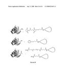 DENDRITIC MOLECULAR INTRACELLULAR TRANSPORTERS AND METHODS OF MAKING AND USING SAME diagram and image