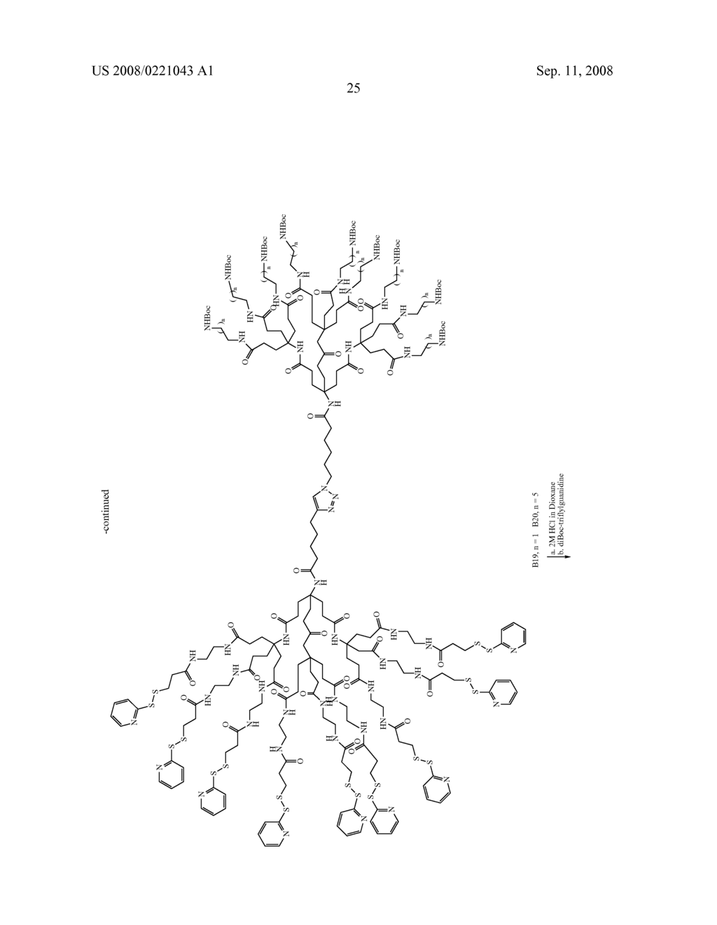 DENDRITIC MOLECULAR INTRACELLULAR TRANSPORTERS AND METHODS OF MAKING AND USING SAME - diagram, schematic, and image 52