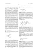 DENDRITIC MOLECULAR INTRACELLULAR TRANSPORTERS AND METHODS OF MAKING AND USING SAME diagram and image