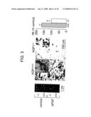 Modulation of Aquaporin in Modulation of Angiogenesis and Cell Migration diagram and image