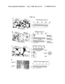 Modulation of Aquaporin in Modulation of Angiogenesis and Cell Migration diagram and image