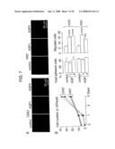 Modulation of Aquaporin in Modulation of Angiogenesis and Cell Migration diagram and image